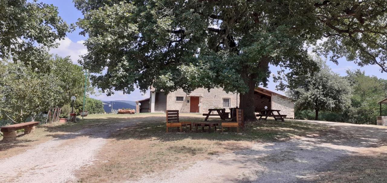 Casale Al Lago Con Piscina E Sauna Corbara  المظهر الخارجي الصورة