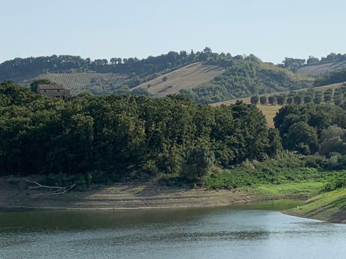 Casale Al Lago Con Piscina E Sauna Corbara  المظهر الخارجي الصورة